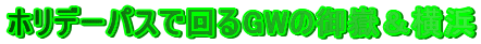 zf[pXŉGW̌ԁl